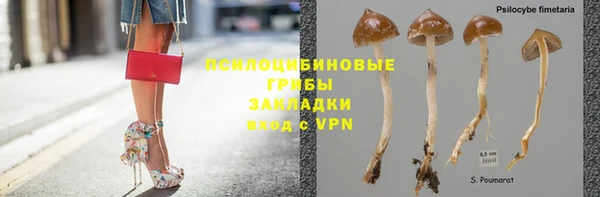 бошки Арсеньев