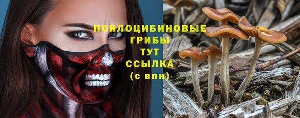 бошки Арсеньев