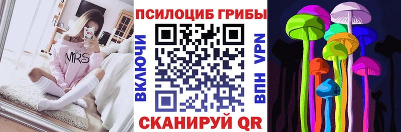Псилоцибиновые грибы Psilocybe Озёрск