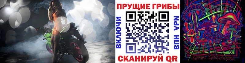 где купить   Озёрск  даркнет как зайти  Псилоцибиновые грибы GOLDEN TEACHER 